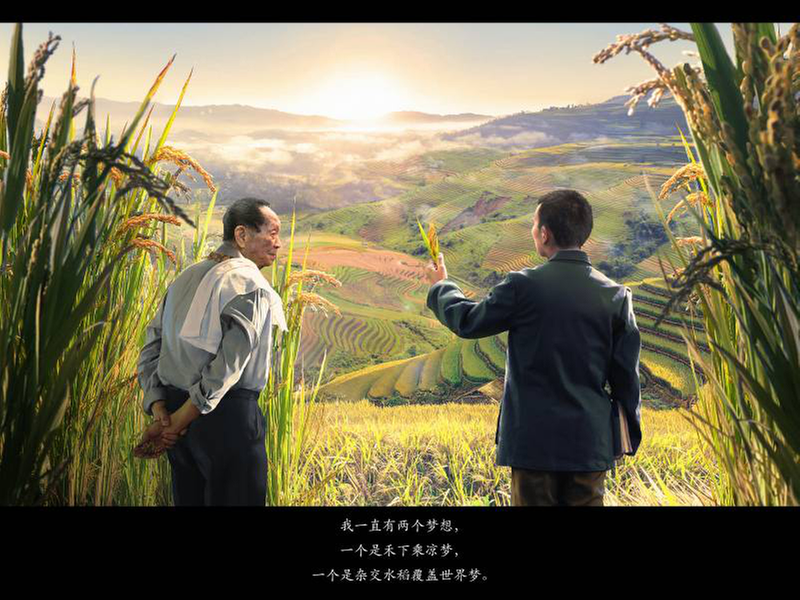 魏华丨一生寻梦田野间——致敬“杂交水稻之父”袁隆平院士（歌词）