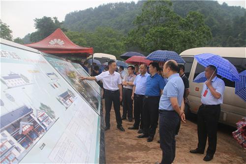 南江县人大代表视察大河镇国家现代农业产业园核心区创建情况