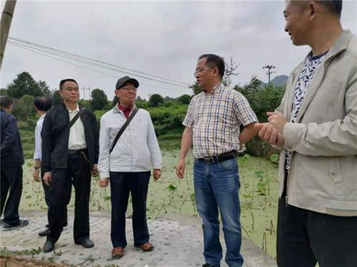 沙湾区科协集科技智慧助推乡村振兴