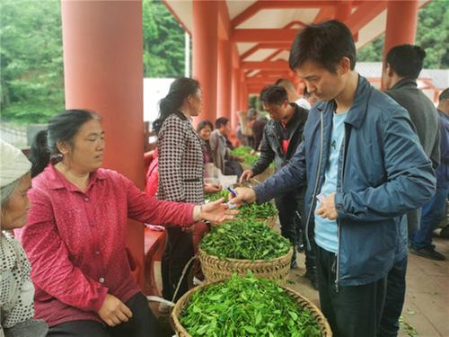 丹棱县：茶叶市场助农增收