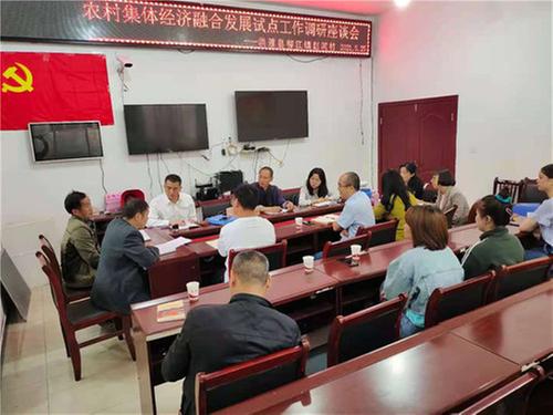 省农业农村厅调研洪雅县村集体经济融合发展试点工作情况