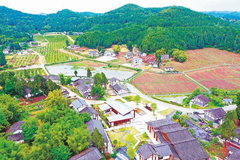 奋力建设“中国有从有机村看西充乡村振兴实践机农业第一县”