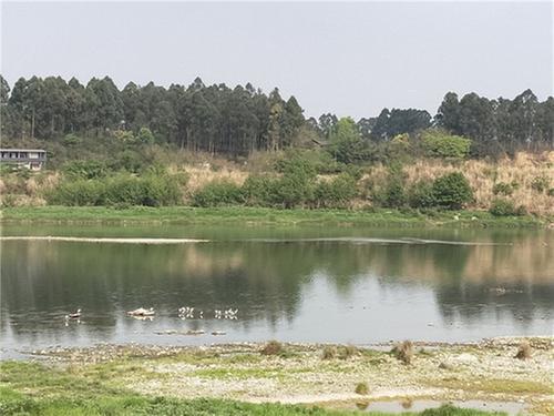 严格考核 逗硬奖惩 