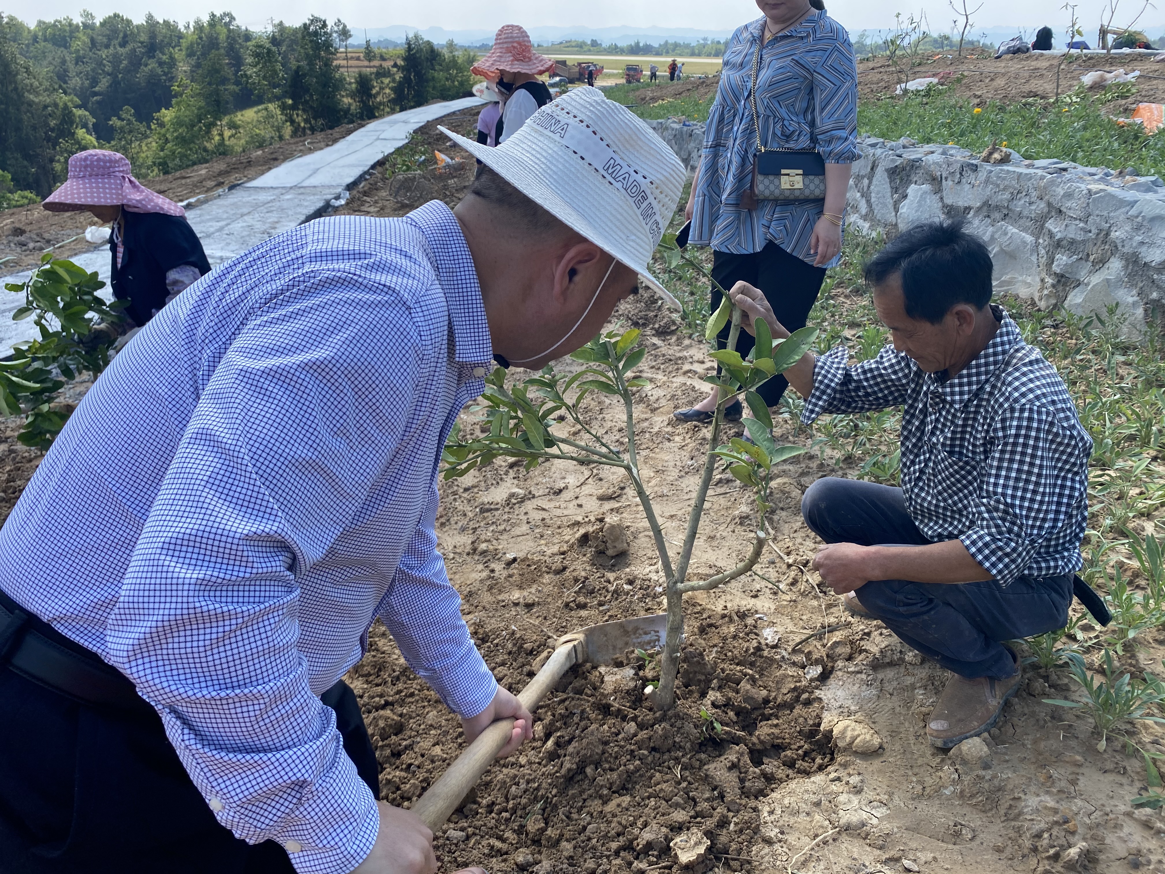 四川科技扶贫在线恩阳区运管中心携手科技特派团送技术下乡