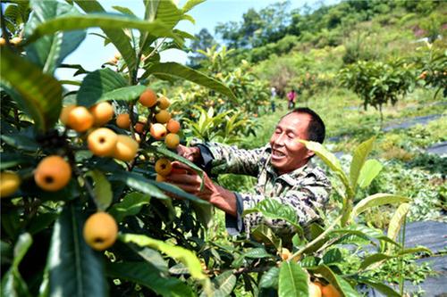 邻水县：全面推进乡村振兴 绘就高质量发展新篇章