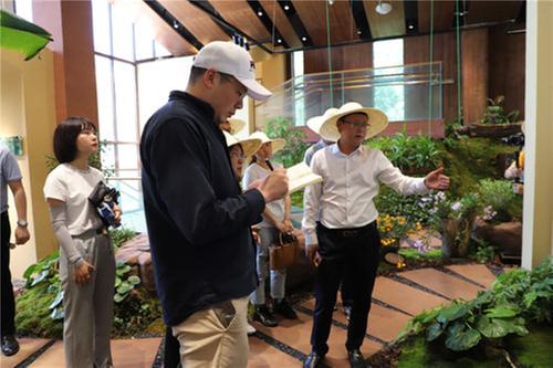 丹棱县抓好“六大行动”  助力生态文明建设