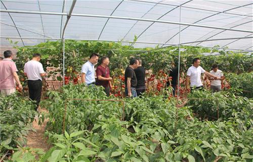 夹江县科协开展“2021年科技活动周”科技创新科普惠民活动