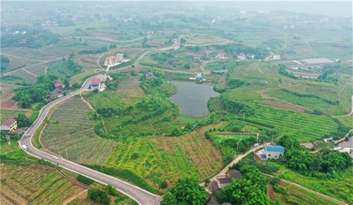 广安区大龙镇战斗村“一肩挑”书记许庆林：持续用力推动农旅融合发展