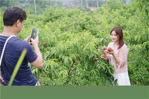 彭山农家女让乡村生活变“梦想生活”