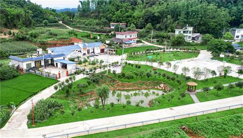 瑞峰镇：擦亮美丽乡村底色  实现乡村振兴“三丰收”