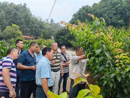 青神县：省农技专家亲临田间指导  为百名果农问诊把脉