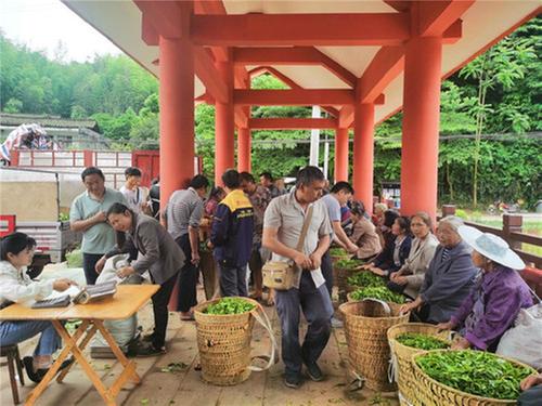 丹棱县：“四好农村路”串起美丽乡村新画卷
