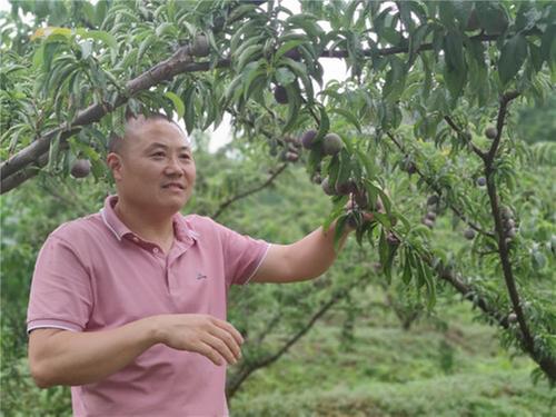 洪雅县：壮大村集体经济  助推乡村振兴