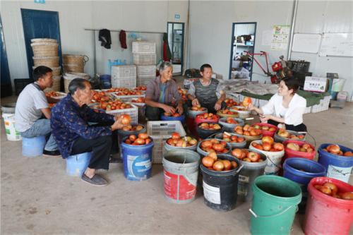 兴平镇推进“人民阅卷·广安行动”有力度