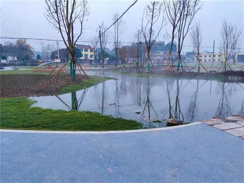 彭山区：“三带”巡河督察实  河湖岸绿水清美