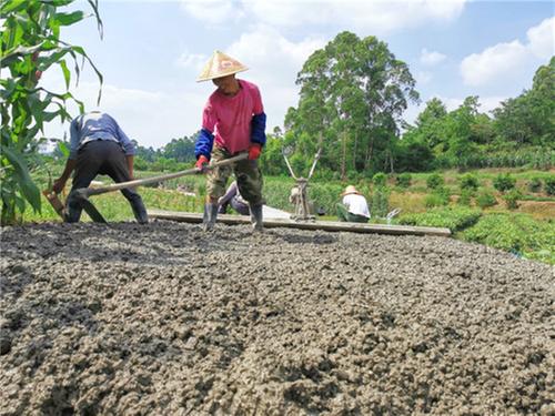铺筑便民路 青神县人大代表为群众办实事
