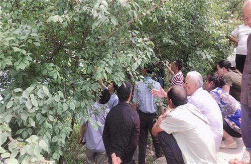 达川区科协开展“送科技进乡村 我为群众办实事”活动