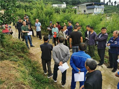 蒲江丹棱组CP 共同壮大特色产业