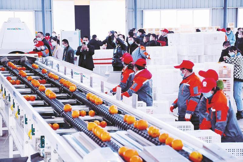 邻水县抒写乡村振兴新篇章