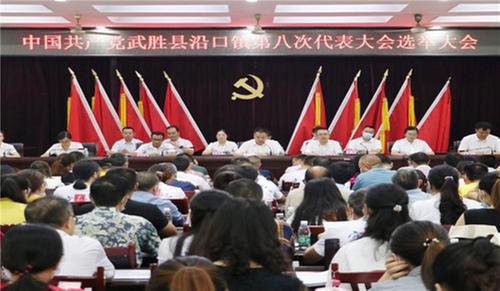 开启全面建设美丽·宜居沿口新征程