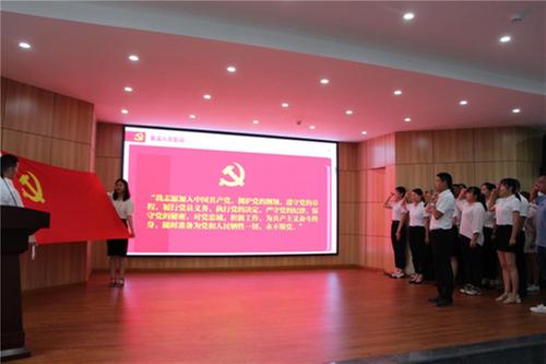 公义镇开展庆祝建党100周年系列活动