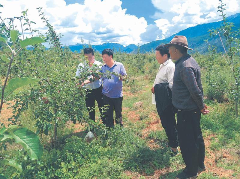 把心放在农业第一线