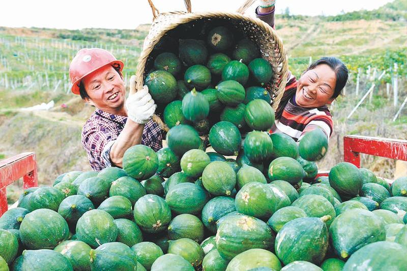 打造道地中药材产业“金名片”