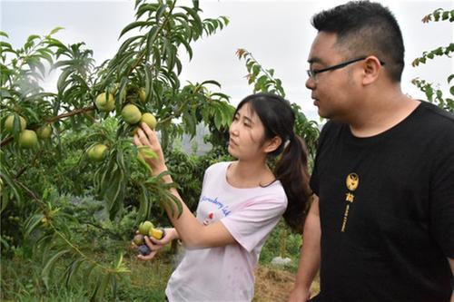 丹棱县7座山头的“变身记”