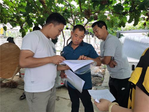 彭山区开展果王评选提升葡萄品质