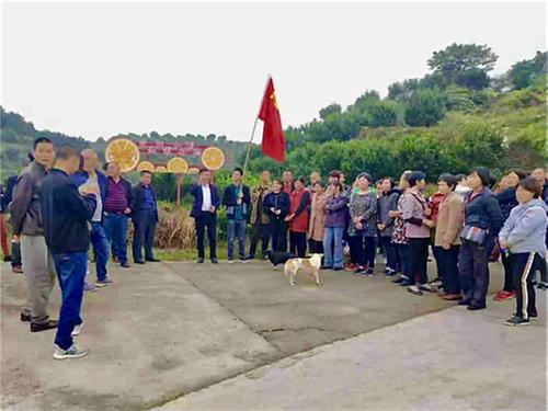 当好“领头雁” 开拓致富路