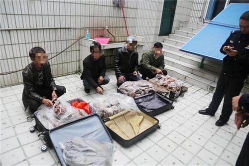 前锋公安侦办“特大非法狩猎案”入选2020年度全国公安食药侦系统十大精品案例