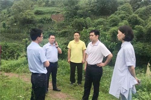 岳池县扎实开展渠江（岳池段）巡河工作