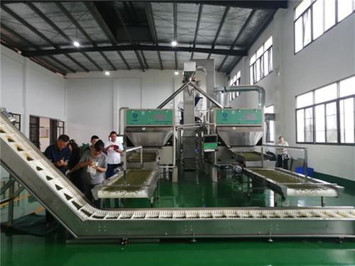 总产值突破1亿元 东坡区蜀清味业藤椒产业园建成开园