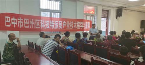 巴州区：农村实用技术送下乡