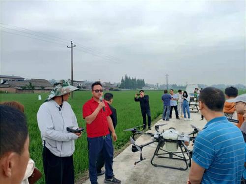 农田有了“高配置” 绿色防控服务强