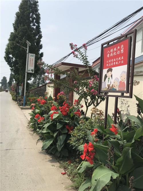 党建引领发展路  强村富民变化大