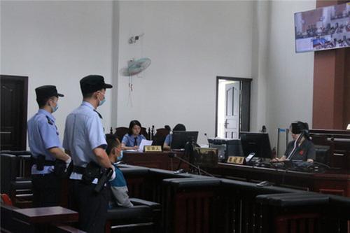 青神小伙逮260只癞蛤蟆获刑6个月 