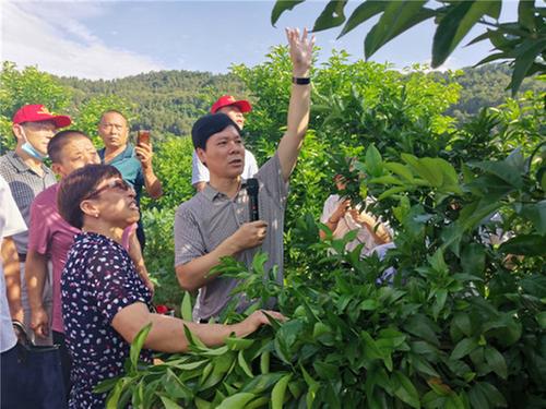 恩阳区科协开展柑橘病虫害防治技术培训    