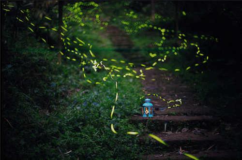 竹里青神美如画 百姓畅享“绿色福利”