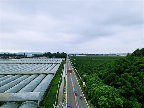 彭山区：太阳能路灯照亮村民幸福路