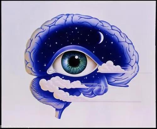 实验室培育人脑长出“眼睛”