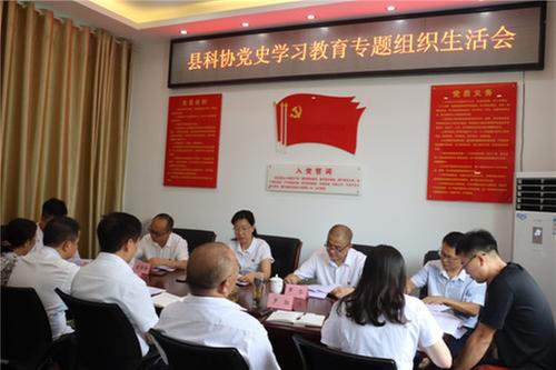 泸县科协党支部召开党史学习教育专题组织生活会