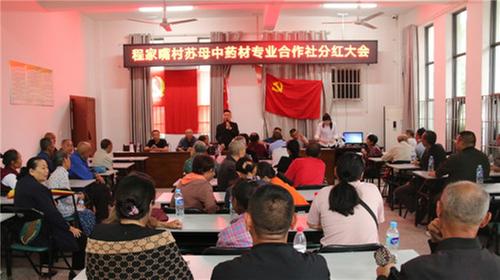 青神县：程家嘴村苏母药材合作社首年分红5万块