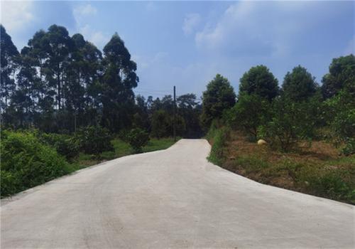 访民意 解难题 杨场镇把实事办到群众心坎上