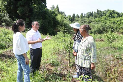 强村富民的引路人