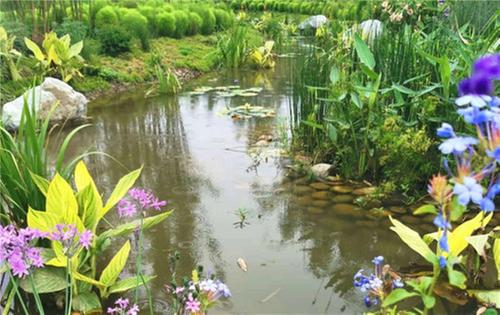 青神县农村集体产权制度改革卓有成效