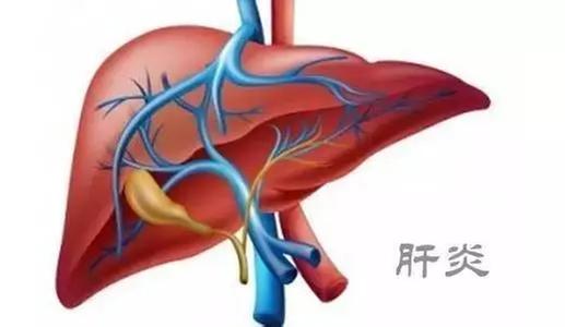 关于肝炎，你应该知道的“肝”货！