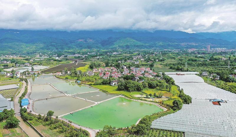 初秋时节 大地如画