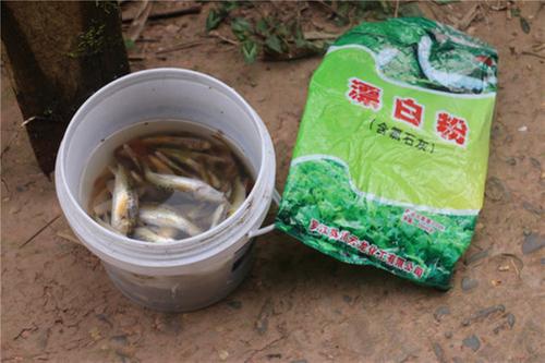 眉山市公安机关服务保障长江经济带高质量发展