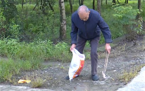 青神古稀老人热心环保 每天义务捡垃圾